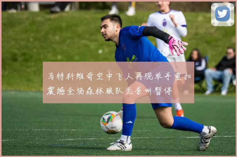 马特科维奇空中飞人再现单手重扣震撼全场森林狼队无奈叫暂停