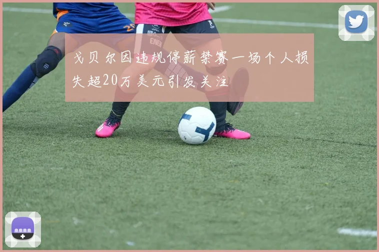 戈贝尔因违规停薪禁赛一场个人损失超20万美元引发关注