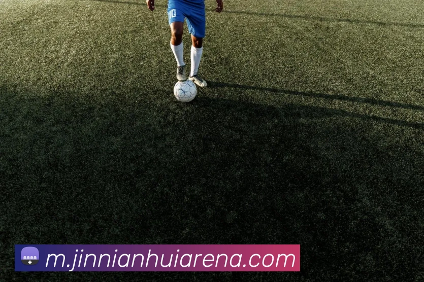 App Interface Preview