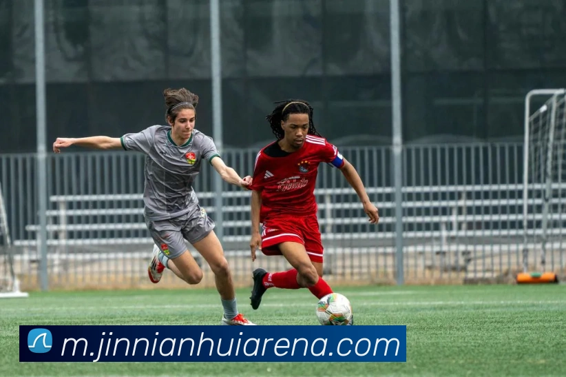 金年会APP 封面图